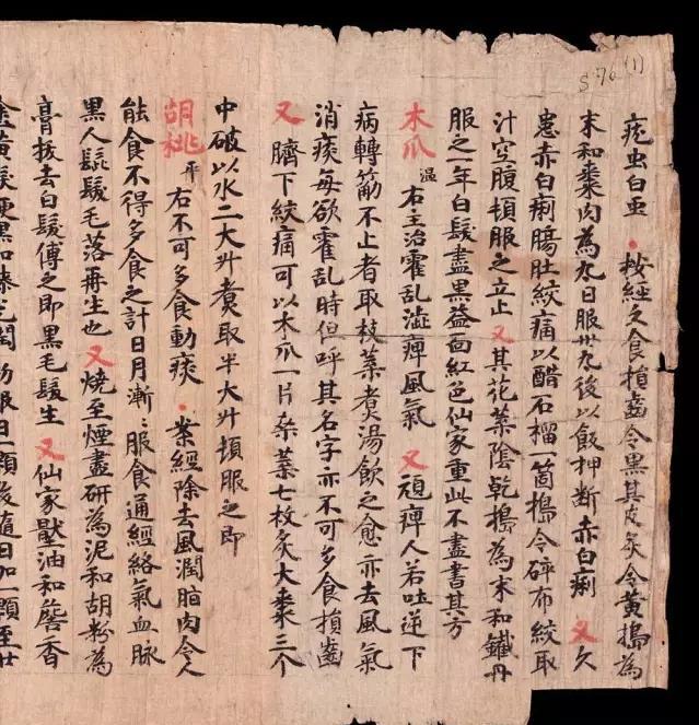 敦煌发现唐代孟诜《食疗本草残卷》(图2)