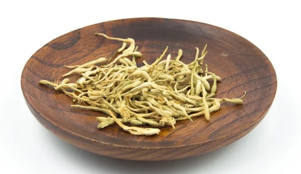 清热解毒金银花,夏天养生少不了它(图2) 图片