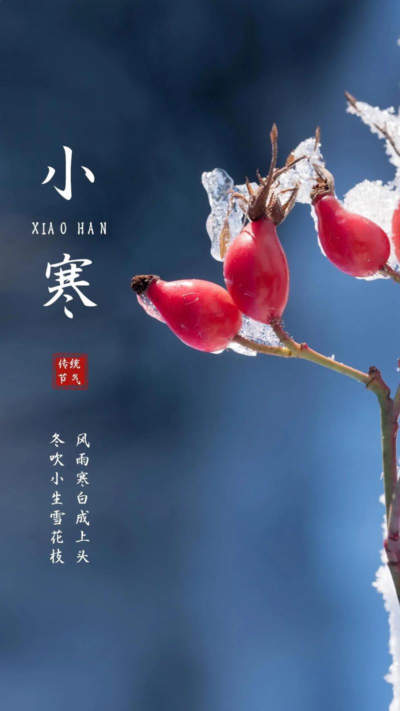 小寒时节，把身体稳稳安顿好