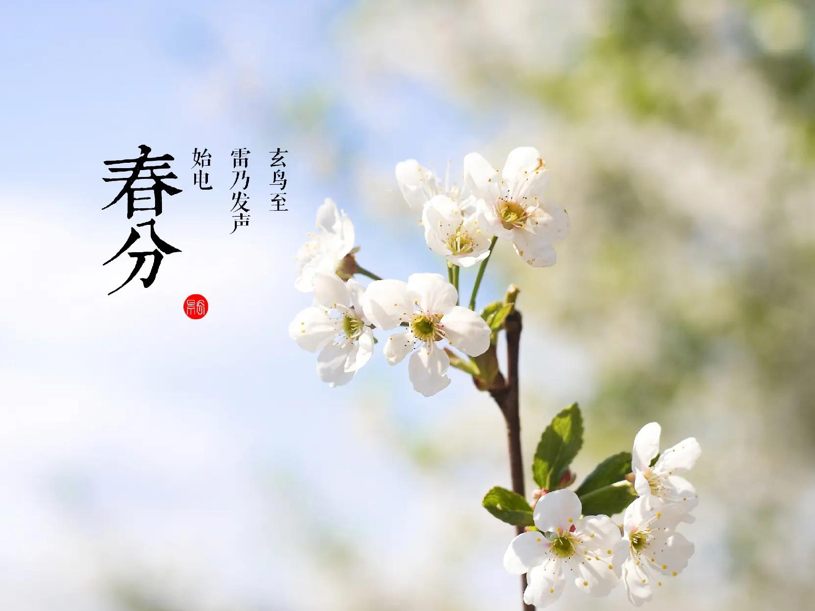 立春来了，把身体“顺一顺”